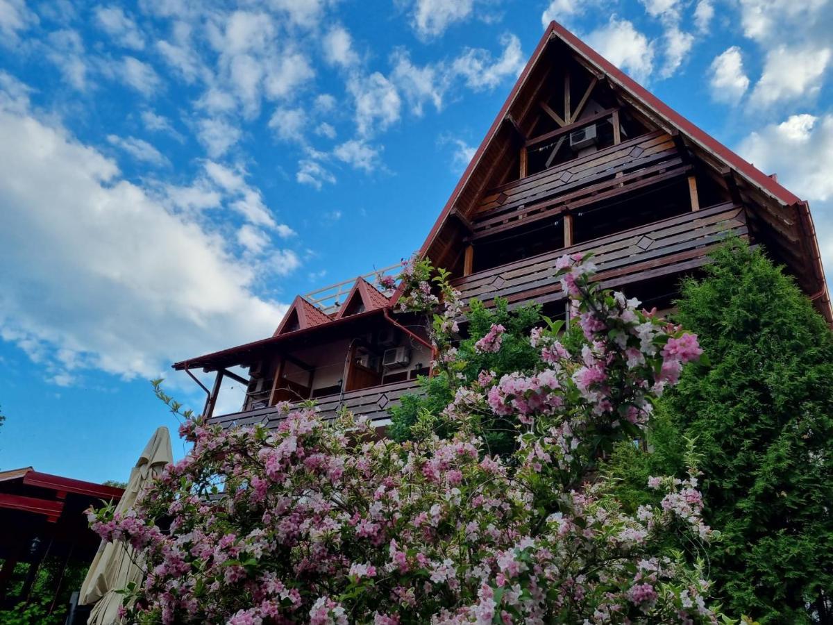 Casa Luca Hotel Vama Veche Ngoại thất bức ảnh