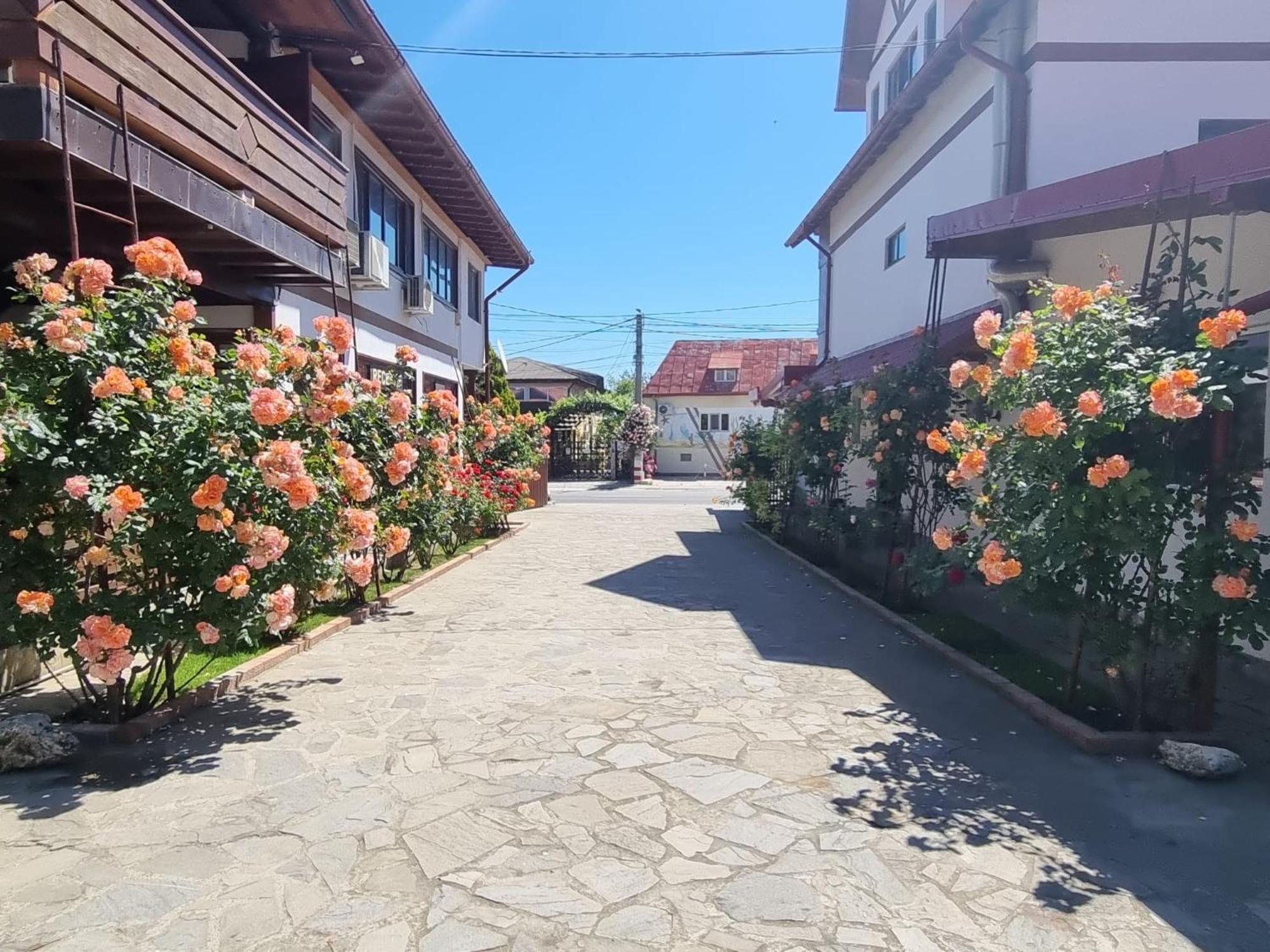 Casa Luca Hotel Vama Veche Ngoại thất bức ảnh