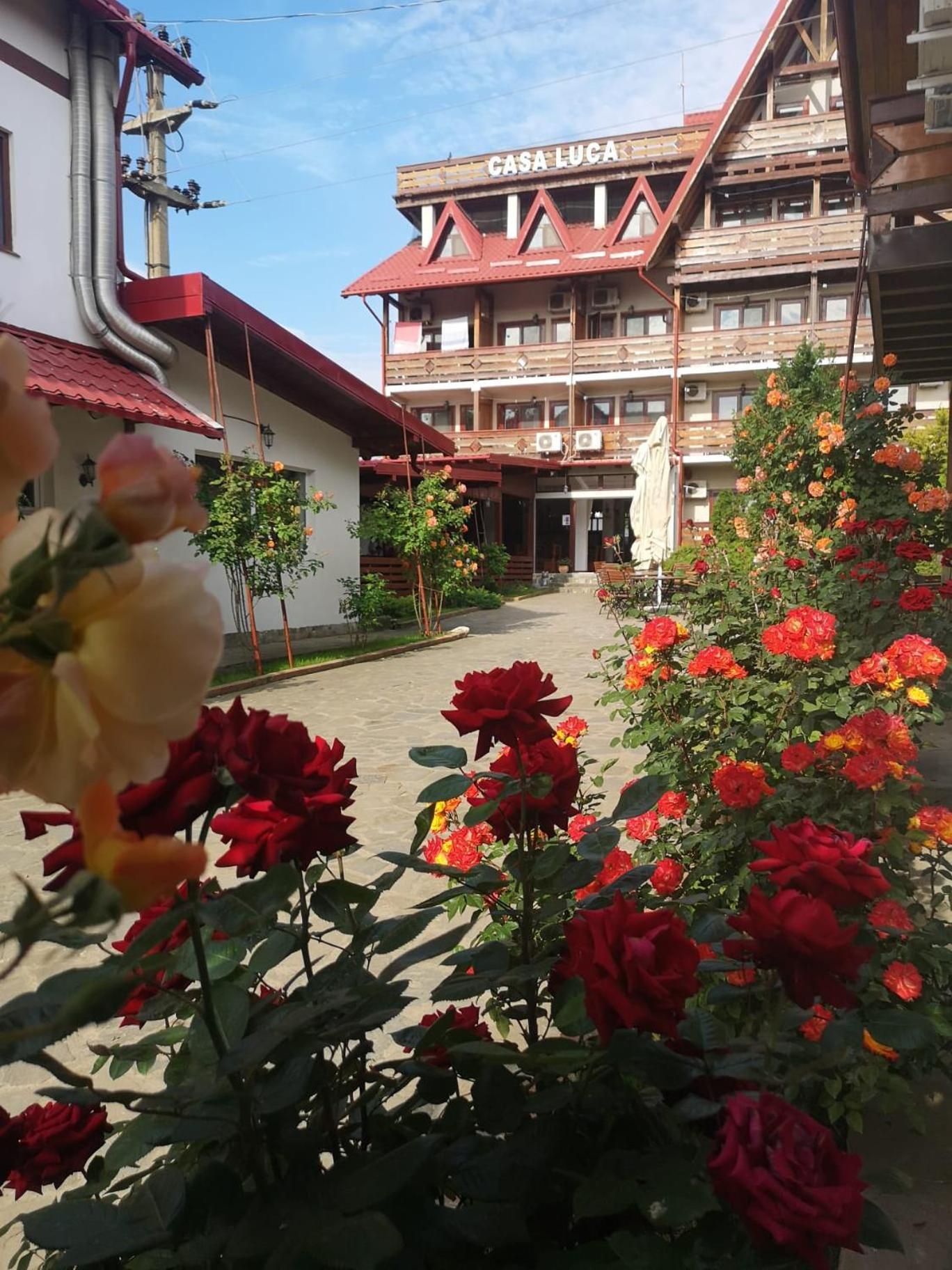 Casa Luca Hotel Vama Veche Ngoại thất bức ảnh